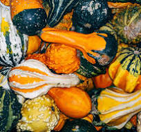 Autumn Gourd Mix