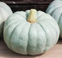 Jarrahdale Blue Pumpkin